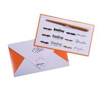 Brause 137B - Une pochette pour l'écriture et la calligraphie contenant 6 plumes (Sténo, Pfannen, Cito fein, Bandzug 1 mm, 2 mm et 3mm) et un porte-plume en bois