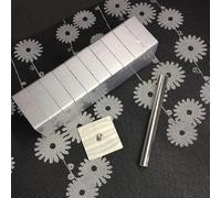 NEIQIUWING Lot de 10 emporte-pièces en acier inoxydable pour gâteau ananas et biscuits, gaufrier et emporte-pièce - Design 3D pour fondant, pain et sandwichs - Passe au lave-vaisselle - Argenté - Pour