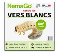 Nemago® - HB Nématodes Contre les Vers Blancs (3 Millions) - Couvre 6m² jardin, pelouses et plantes - Traitement lutte Biologique contre Hannetons & Otiorhynques