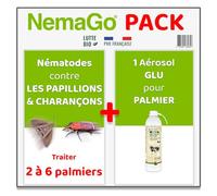 Nemago® - Nématodes Traitement contre le Papillon du Palmier et le Charançon Rouge - Traiter 2 à 6 Palmiers - Lutte biologique - Anti vers et larves (Traitement + Bombe Aérosol protection Palmier)