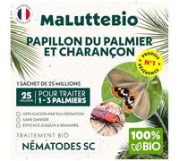 Nématodes contre le Papillon du palmier et le Charançon Rouge - Nematodes Palmier - Pour traiter 1 à 3 palmiers