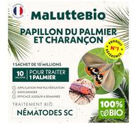 Nématodes contre le Papillon du palmier et le Charançon Rouge - Nematodes palmier - Pour traiter 1 palmier - 10M