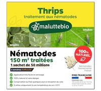 Nematodes contre les Thrips - Produit naturel et 100% efficace pour éliminer les thrips des plantes intérieures et extérieures - Longue durée et Sans danger (Pour traiter 150 m²)