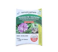 Nématodes HB Anti Otiorhynque (25 Millions pour 50 m²) | Traitement Biologique des Larves dans le Sol - Plantes, Massifs & Jardins