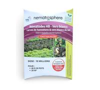 Nématodes HB Anti Vers Blancs (10 Millions pour 20 m²) | Traitement biologique et naturel des larves de hannetons