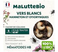 Nématodes HB contre les Vers Blancs (5M) pour 10 m² - Produit naturel et 100% efficace pour éliminer les vers blancs et les hannetons et otiorhynques du jardin, pelouses et plantes