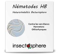 Nématodes Hb contre les vers blancs, larves de hannetons et d'otiorhynques. 25 Millions pour traiter 50 m². Traitement biologique et naturel