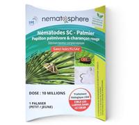 Nématodes Palmier : Papillon & Charançon (10 Millions - 1 palmier) | Traitement utilisable en agriculture biologique