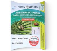Nématodes Palmier : Papillon & Charançon (50 Millions - 2 à 6 palmiers) | Traitement utilisable en agriculture biologique