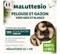 Nématodes pelouse et gazon - Traitement contre les larves de Tipules (vers gris ou Cousin) - 100% naturel. Traite les tâches jaunes du gazon (Pour 200m² (100 millions))