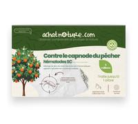 Nématodes SC contre capnode du pêcher - 5 millions - 1 arbre