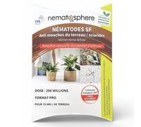 Nématodes SF Anti Mouches du Terreau - Traitement Biologique Efficace contre Moucherons des Plantes - Lutter & Se Débarrasser Naturellement (Pour traiter 500 m² - 250 Millions)