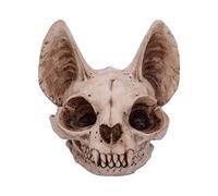 Nemesis Now Bastet's Secret Cat Skull Figurine décorative Couleur os Naturel Taille Unique