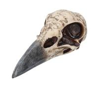 Nemesis Now Figurine crâne de Corbeau d'Edgar Ivoire 25 cm