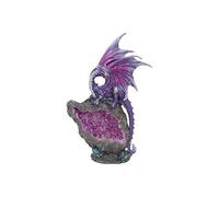 Nemesis Now Figurine de Dragon Protecteur en améthyste - Violet, 22 cm