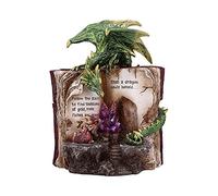 Nemesis Now Hoard Finders Figurine Dragon avec Livre en Cristal, Vert, 20,8 cm