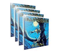 Nemesis Now Cadre Iron Maiden Fear of the Dark Crystal G MDF et résine 32 cm Noir