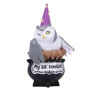 Nemesis Now My Lil Familiar Alden Figurine de sorcière en résine 11,5 cm Décoration Gothique moulée dans la Plus Fine résine Peinte à la Main