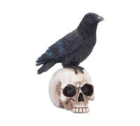 Nemesis Now Nevermore Vigil Raven sur Crâne Figurine Gothique Raven Collectible