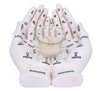 Nemesis Now Palmist's Guide Photophore Mains Chiromancy Blanc 22,3 cm