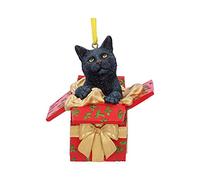 Nemesis Now Present Cat Indifférent Boules Standard Plastique