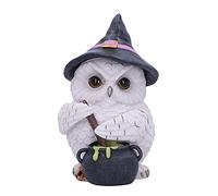 Nemesis Now Statuette Potion Chouette Blanc 17,5 cm