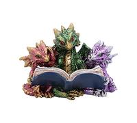 Nemesis Now Tales of Fire Figurine Dragon en polyrésine, Multicolore, Taille Unique