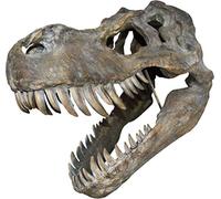 Nemesis Now Tyrannosaurus Rex Skull Grande plaque murale en polyrésine Marron Taille unique 51,5 cm
