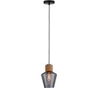 Paulmann Lampe suspendue Edla Neordic E27 1x20W Verre fumé Liège Noir PL79740