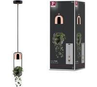 Paulmann Lampe suspendue Neordic Fanja 1x20 W Noir/Cuivre 79749