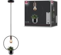 Paulmann Lampe suspendue Tasja Neordic 1x20 W Noir/Cuivre 79748