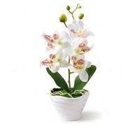 Neptuiby Orchidée Artificielle en Pot, orchidées en Soie réalistes, Fleurs artificielles pour la décoration de la Maison, orchidées, Plantes d', Fausse Plante Blanche avec 5 Fleurs