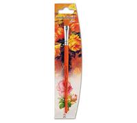 Nespoli Pinceau décoratif plat Bois FSC Fibre Konex Fleur Taille 6 Orange 6
