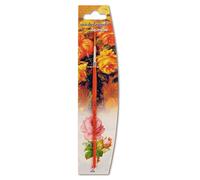 Nespoli Pinceau décoratif plat Bois FSC Fibre Teijin Fleur Taille 4 Orange 4