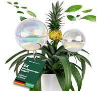 Netrox - 2 Boules d'arrosage en Verre - oyas, Irrigation Automatique pour Plantes d'intérieur, Jardin, Fleurs & Balcon - idéal en Vacances - arrosage Automatique, Goutte Plante Exterieur ollas OYA
