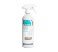 Bayrol Nettoyant Ligne d'eau Piscine Bordnet 0,7L