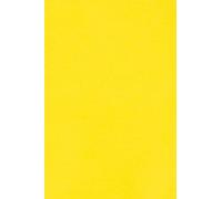 Netuno 10x papier cartonné jaune A3 297 x 420 mm 250g Burano Giallo Zolfo carton de couleur papier cartonné imprimable pour bricolage cartes d’invitation cartes de vœux marque-places menus