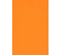 Netuno 10x papier cartonné orange SRA3 320 x 450 mm 250g Burano Arancio Trop carton de couleur papier cartonné imprimable pour bricolage cartes d’invitation cartes de vœux marque-places menus