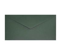 Netuno 25 enveloppes vert algue DL 110x220 mm classiques et soignées