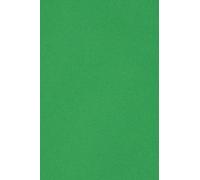 Netuno 50x papier cartonné vert SRA3 320 x 450 mm 250g Burano Verde Bandiera carton de couleur papier cartonné imprimable pour bricolage cartes d’invitation cartes de vœux marque-places menus