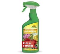 Neudorff Anti-Oïdium Spécial Rosiers - Fongicide jardin contre oidium, pour rosiers et plantes ornementales, spray prêt à l’emploi, 500 ml