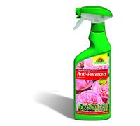 Neudorff Anti-Pucerons Insecticide Spruzit prêt à l’emploi - 500 ml