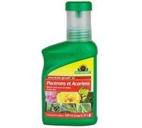 Neudorff Insecticide Spruzit EC – anti-pucerons et acariens, concentré 250 ml (250 m²)