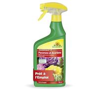 Neudorff Insecticide Spruzit AF Pucerons et Acariens - Combat les pucerons et les cochenilles sur les fleurs et les plantes vertes, prêt à l'emploi, 750 ml