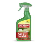 Neudorff Insecticide Spruzit Anti cochenille AF - Traite les cochenilles et les pucerons sur les plantes ornementales et les fleurs, spray prêt à l'emploi à action rapide, 750 ml