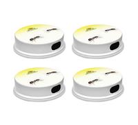 Neudorff Loxiran Anti-Fourmis - Action immédiate Contre Les fourmilières et Fourmis, pour intérieur et extérieur, prêt à l’Emploi 4 pièges