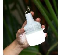 New Garden Ampoule LED rechargeable portable blanc 500 lm IP44 USB-C avec crochet 2 pièces