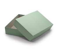 New Paper NEUSER Paper Coffrets de Rangement et Cadeaux de Haute qualité 1 pièce DIN A4 Eucalyptus (Vert) recouvert 302 x 213 x 70 mm, diplôme d'études/diplôme