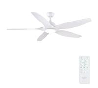 Newday 153cm Grand Ventilateur Plafond 5 Pale Blanc Réversible Silencieux | avec Lumiere et Télécommande, Plafonnier Ventilateur Moderne avec Moteur DC, Minuterie Dimmer pour Chambre Salon Terrasse