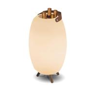 newgarden - Lampe de table décorative et porte-bouteille avec haut-parleur et lumière LED RVB. Idéal pour les fêtes au bord de la piscine ou pour se détendre dans le jardin. (21x722cm)